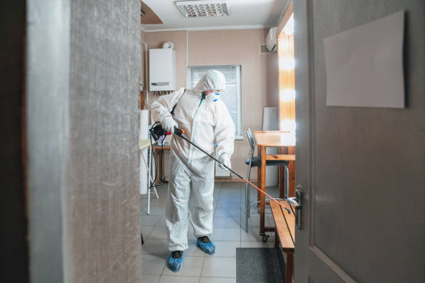 Best Industrial Mold Remediation  in Barrackville, WV