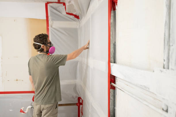 Mold Odor Removal Services in Barrackville, WV