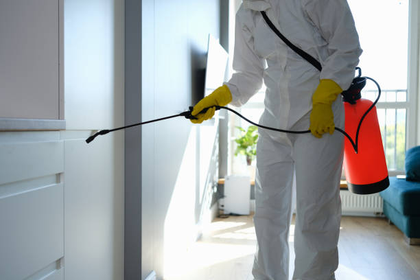Best HVAC Mold Inspection and Cleaning  in Barrackville, WV