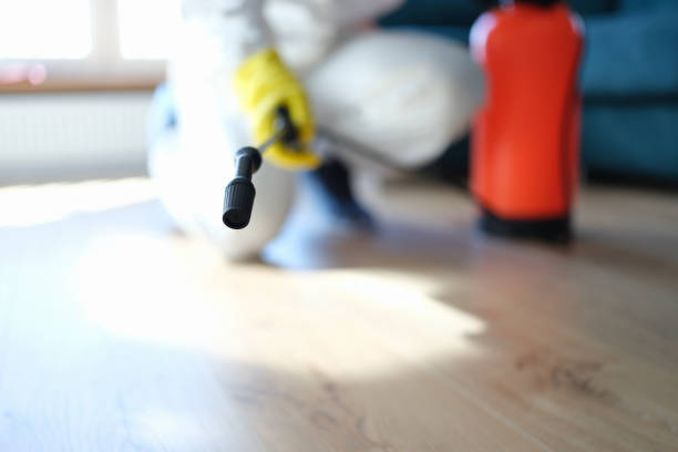 Best Forensic Mold Investigation  in Barrackville, WV