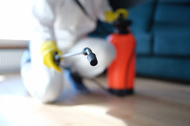 Best Water Damage & Mold Remediation  in Barrackville, WV