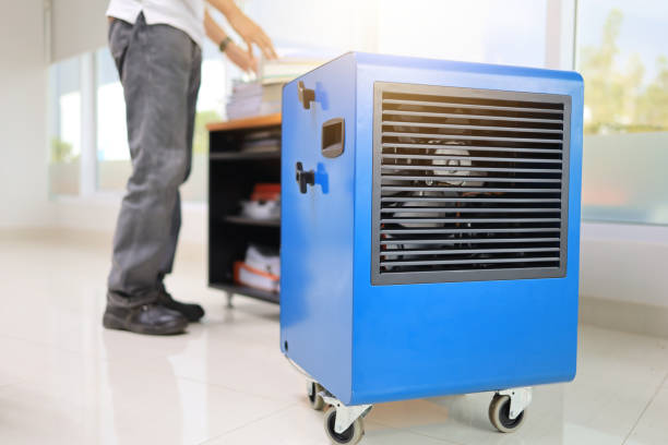 Best Environmental Consulting for Mold Prevention  in Barrackville, WV