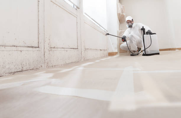 Mold Remediation for Vacation Homes in Barrackville, WV
