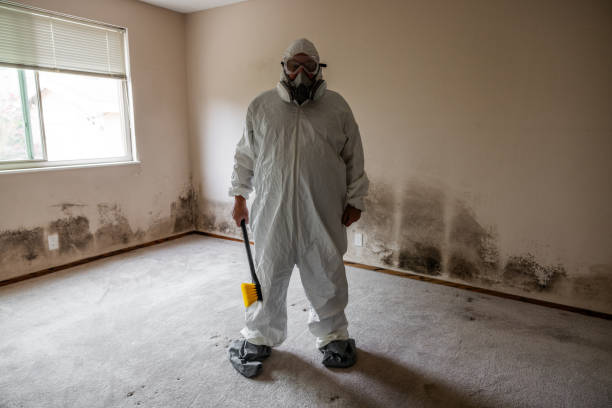 Best Air Quality Testing for Mold Spores  in Barrackville, WV