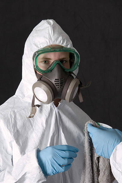 Best Mold Prevention Services  in Barrackville, WV
